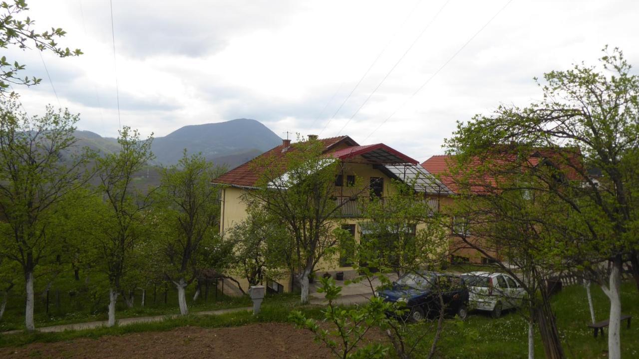 Guest House Pribojska Banja Eksteriør bilde