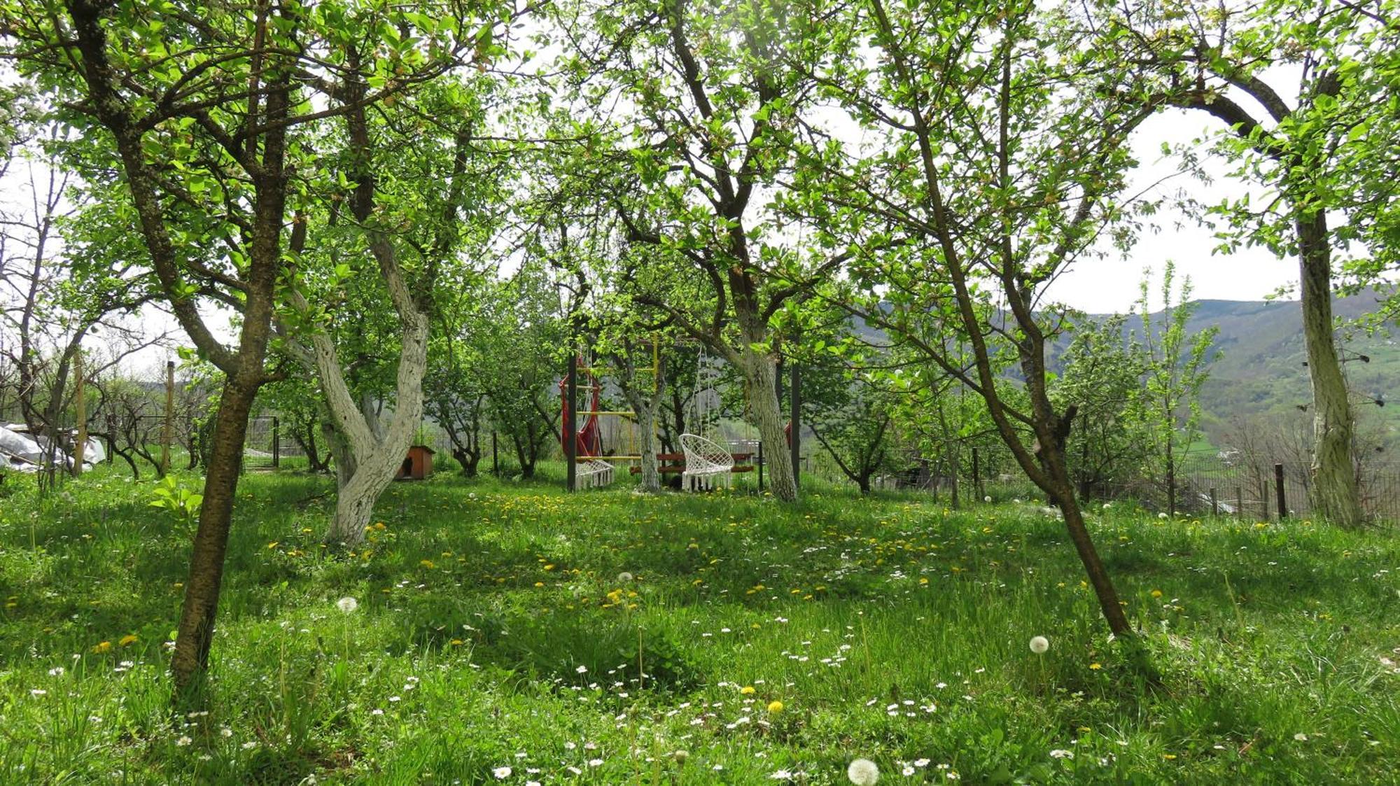 Guest House Pribojska Banja Eksteriør bilde