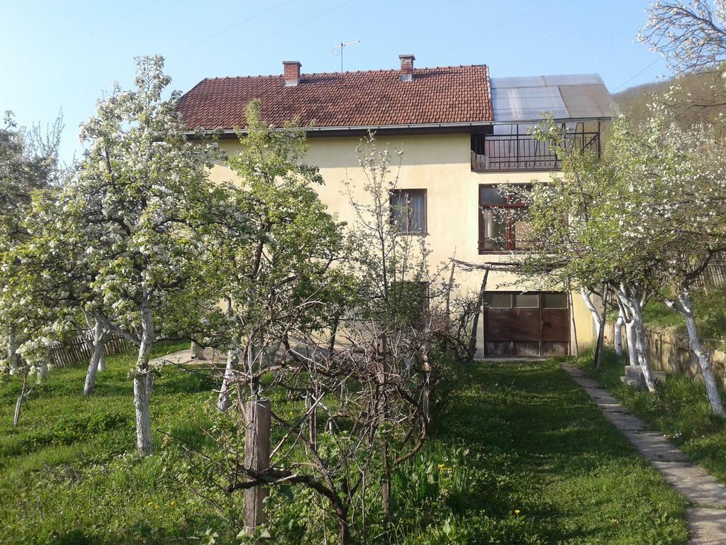 Guest House Pribojska Banja Eksteriør bilde